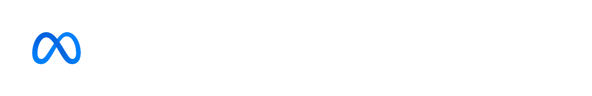 Meta Business Partner